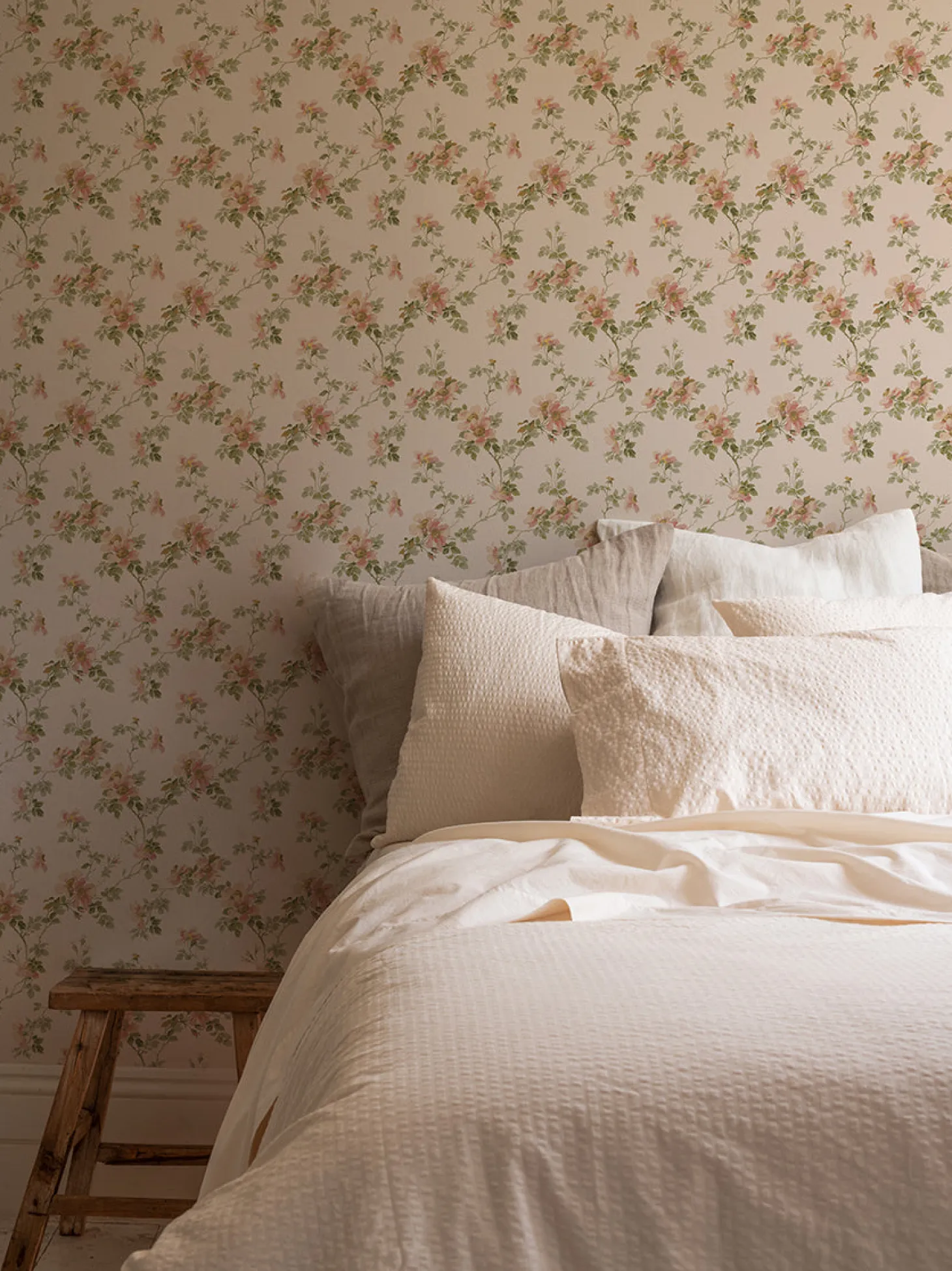 Cream Blush Field Rose Wallpaper