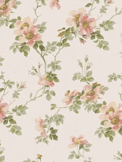 Cream Blush Field Rose Wallpaper