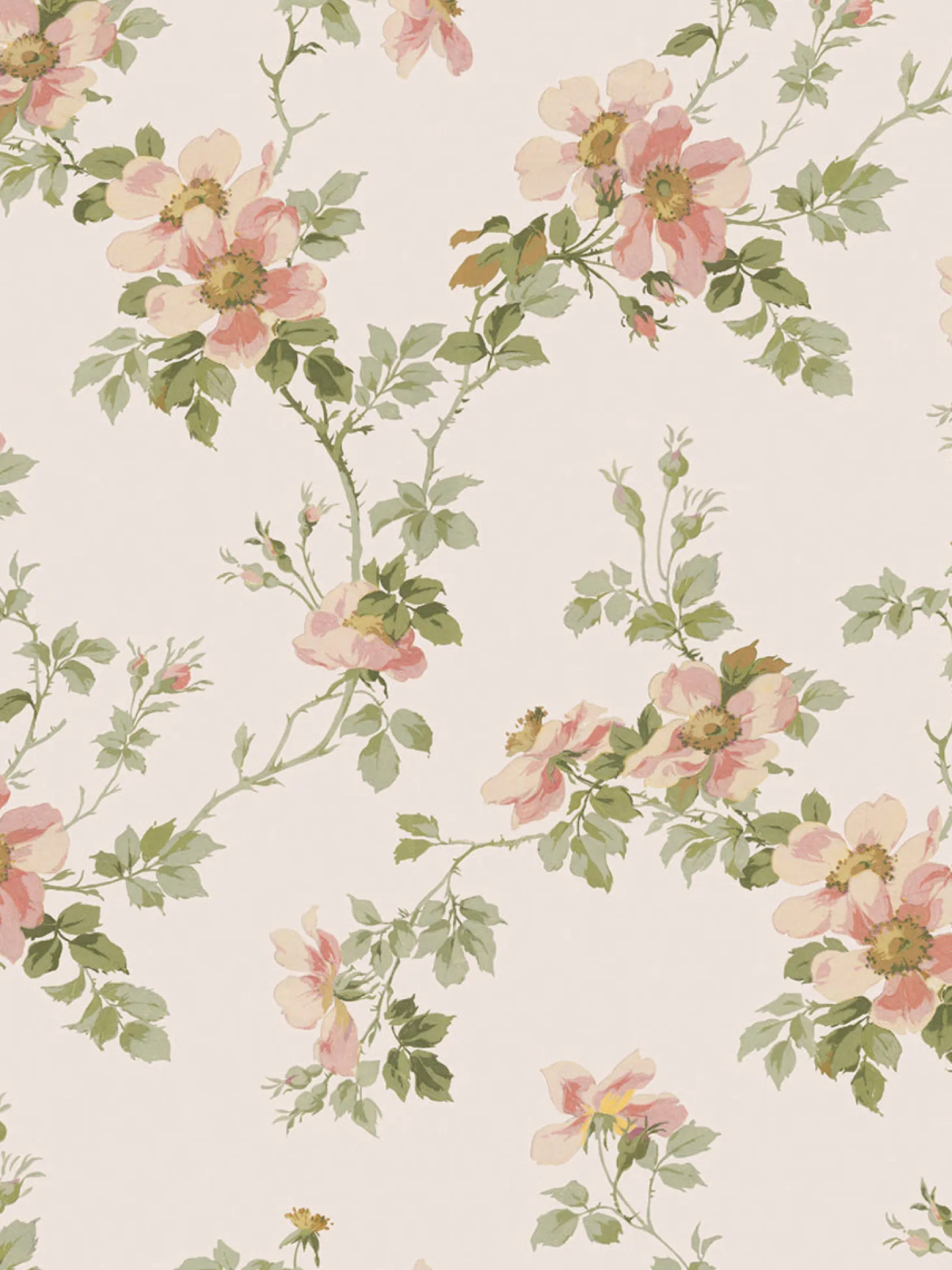 Cream Blush Field Rose Wallpaper