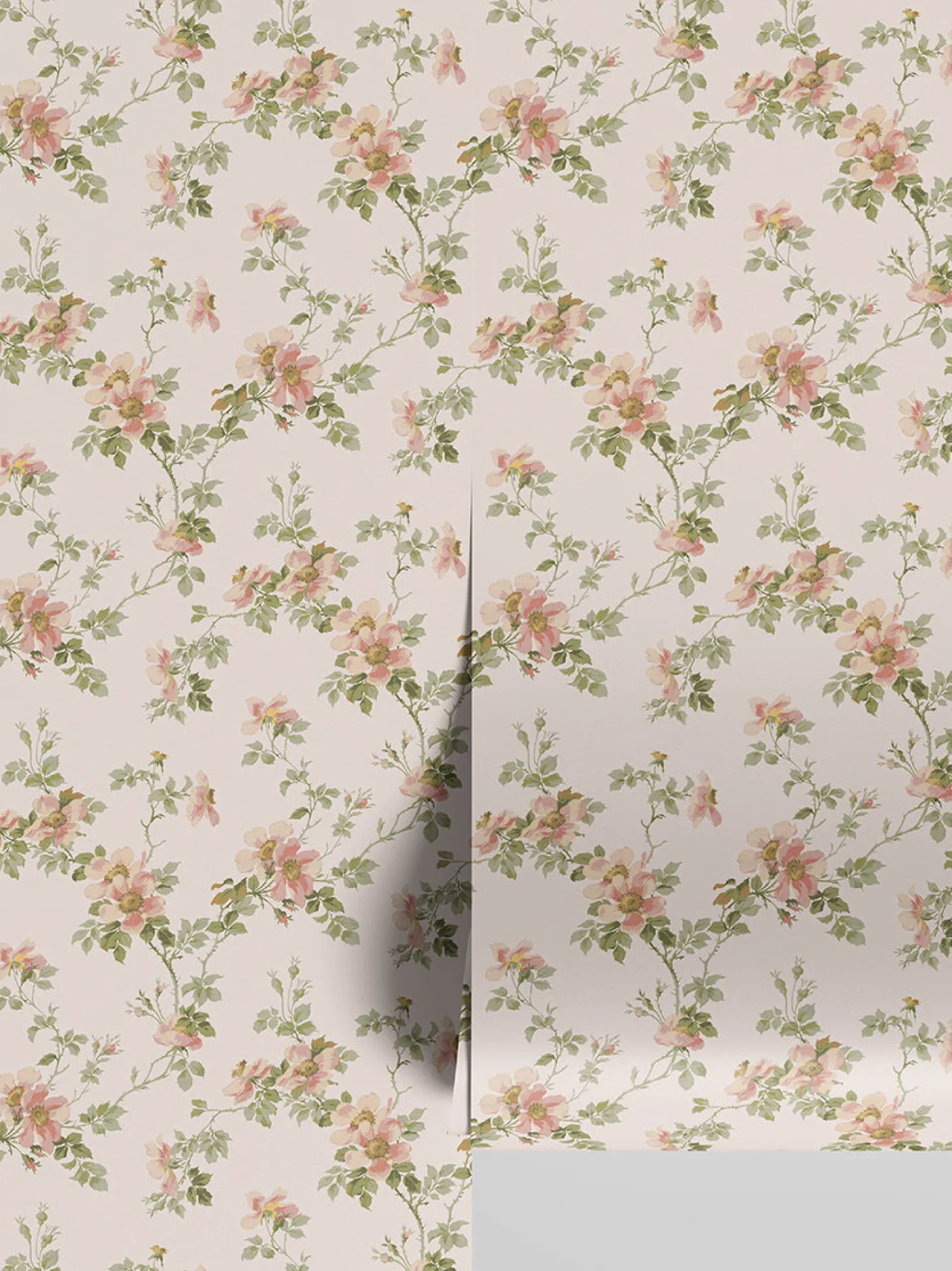Cream Blush Field Rose Wallpaper