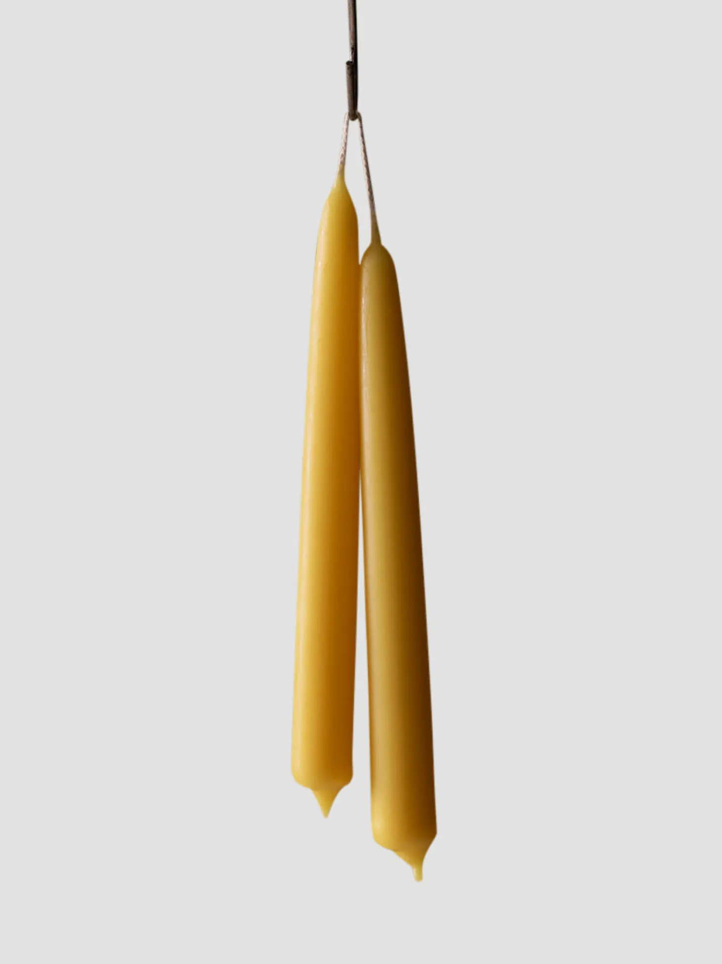 Goldenrod Beeswax Dining Candles Set of 2